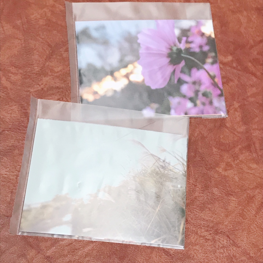 Last Autumn Photo Set