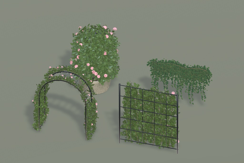 植物セット