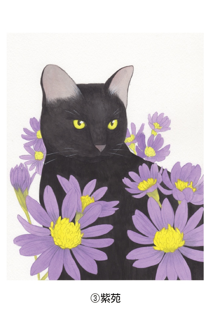 ポストカード001