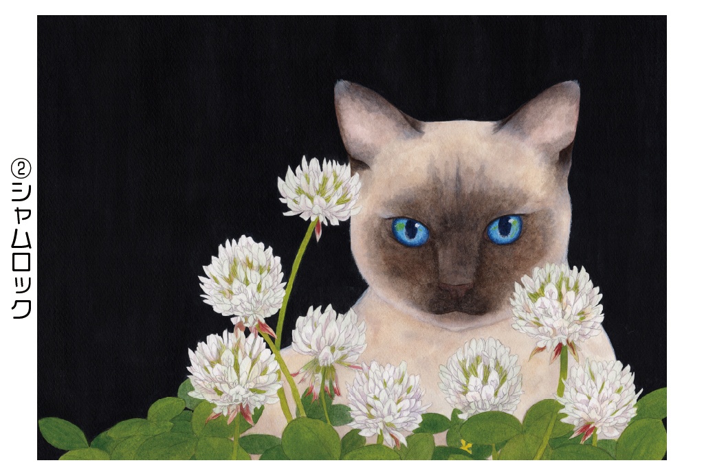 ポストカード001