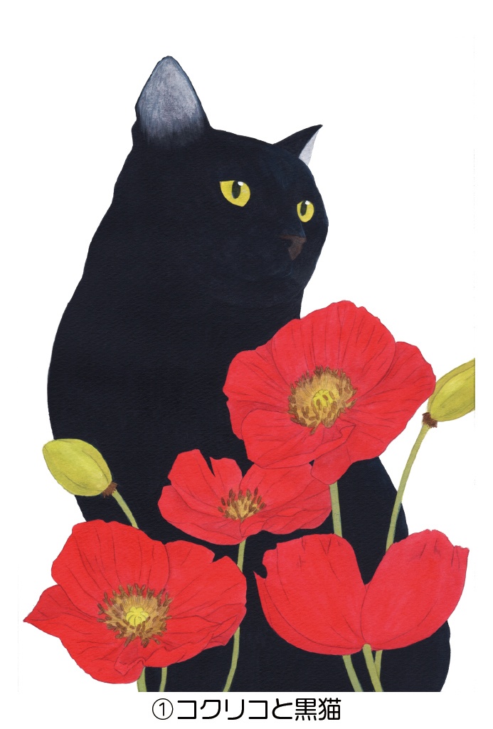 ポストカード001