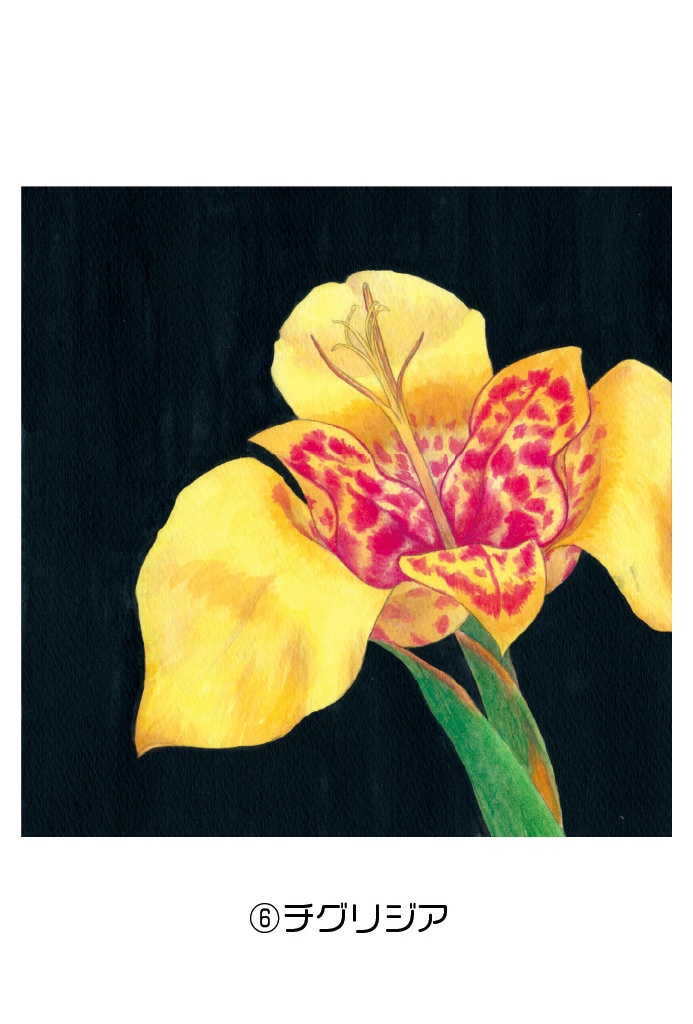 ポストカード004