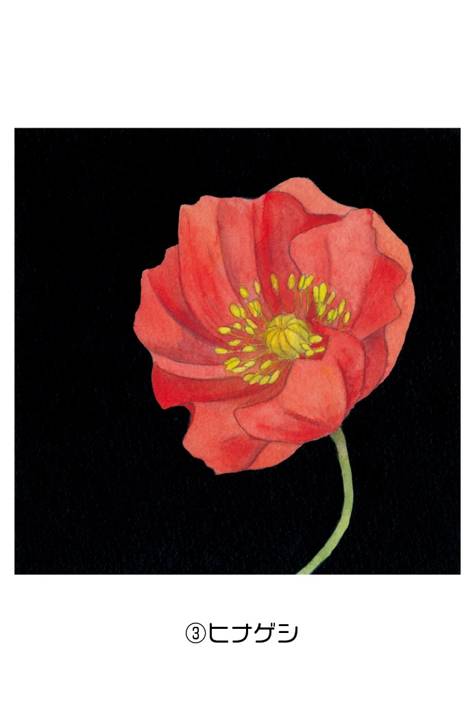 ポストカード004