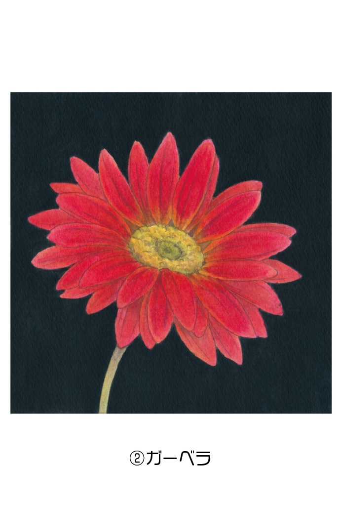 ポストカード004