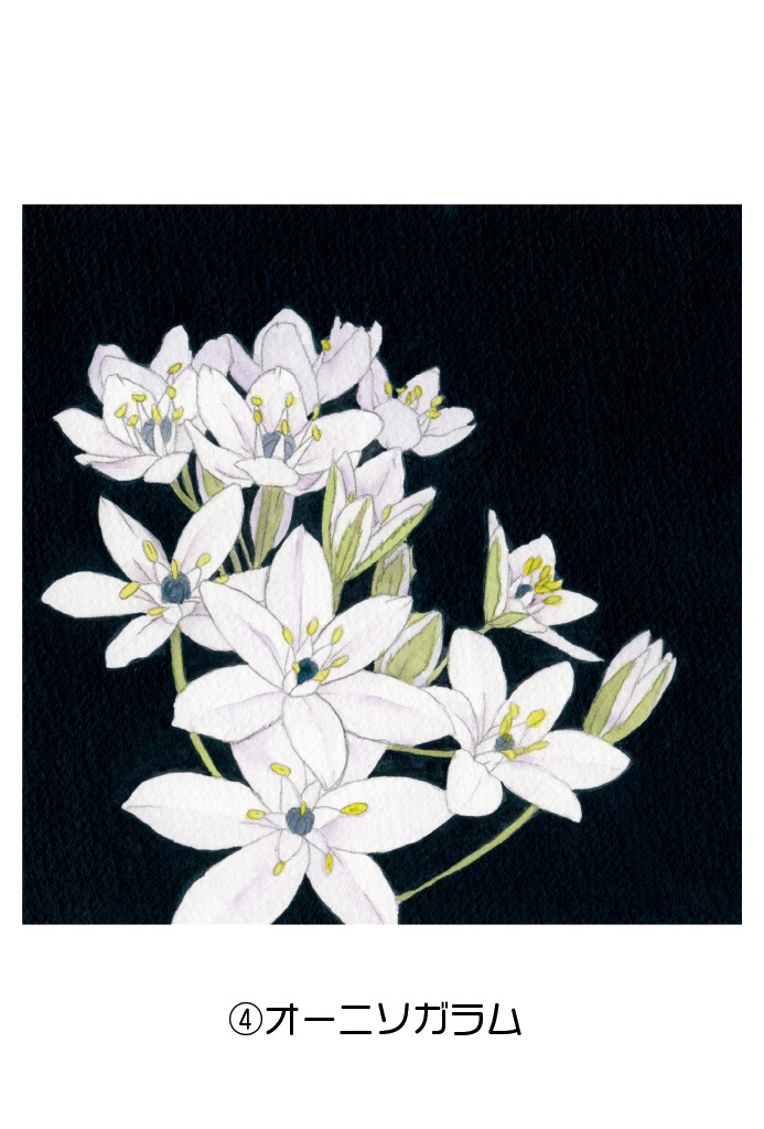 ポストカード004