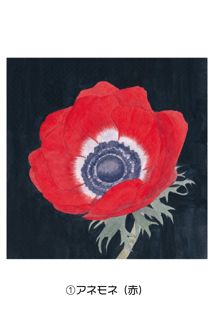 ポストカード004