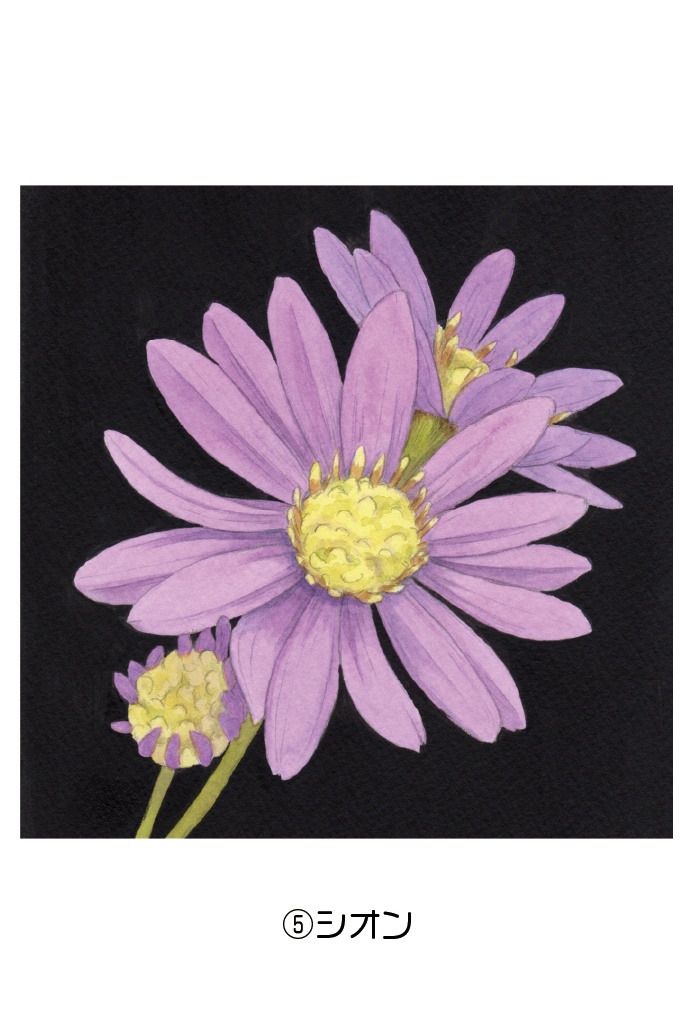 ポストカード004