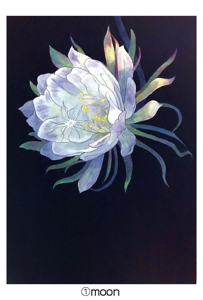 ポストカード005