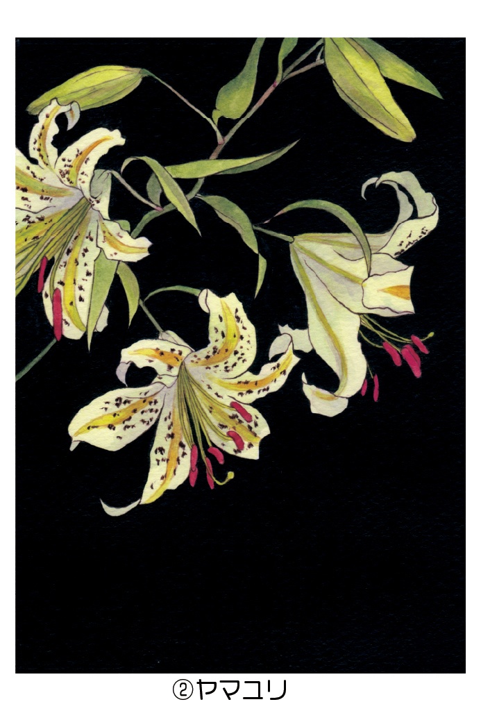 ポストカード005