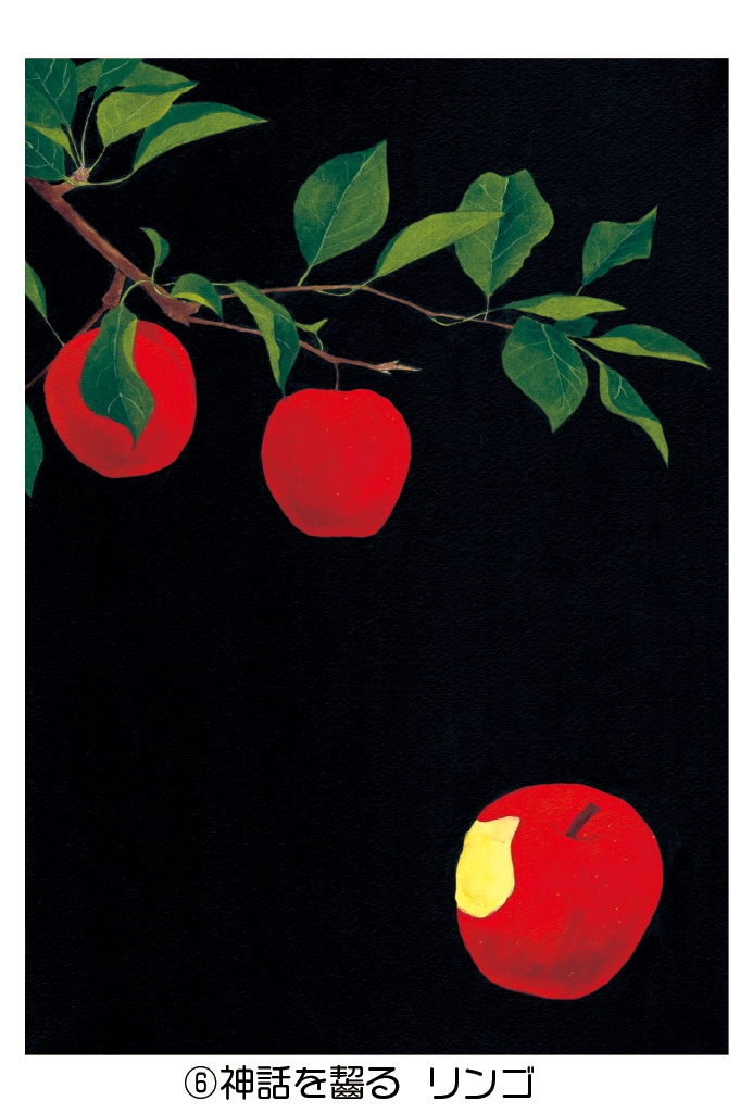 ポストカード005