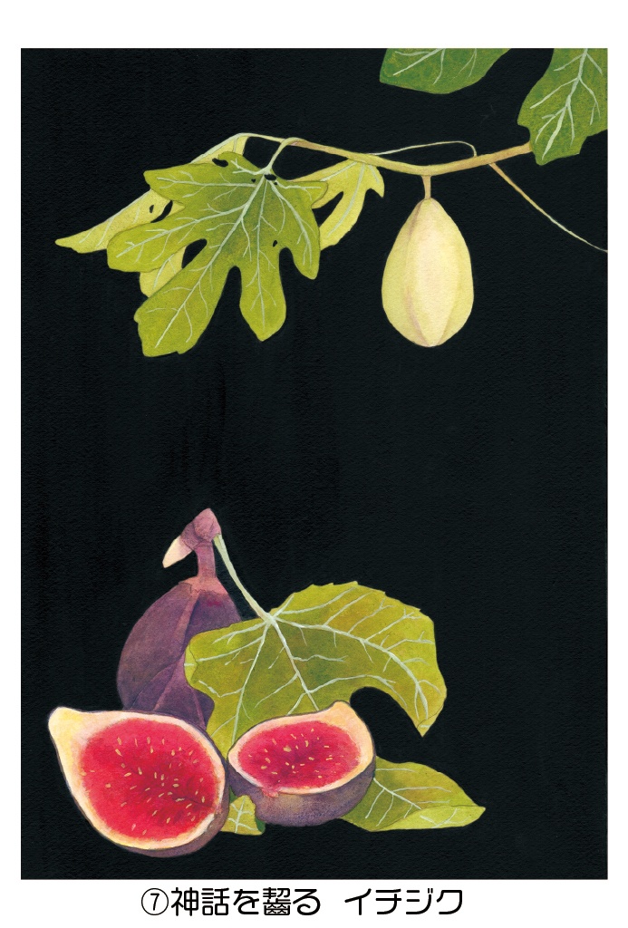 ポストカード005