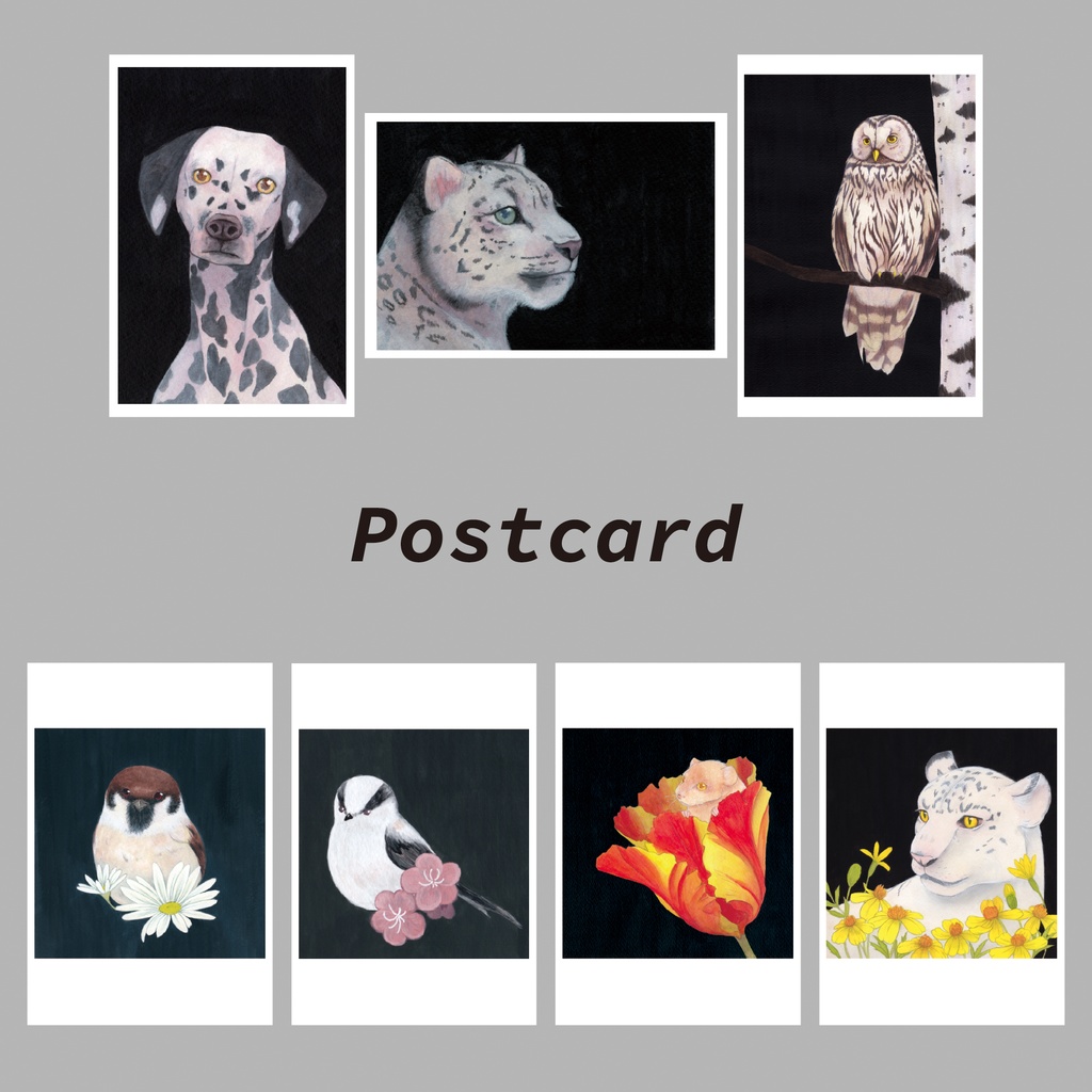 ポストカード006