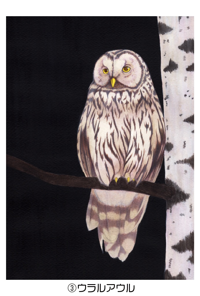 ポストカード006