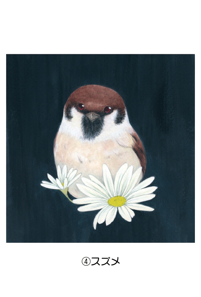 ポストカード006