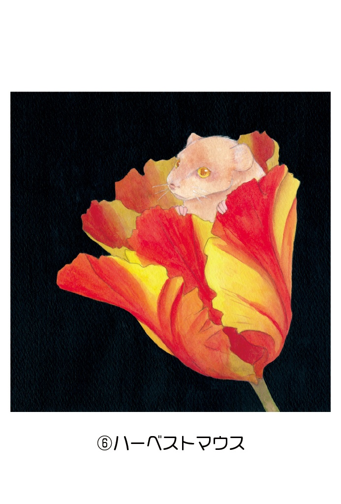 ポストカード006