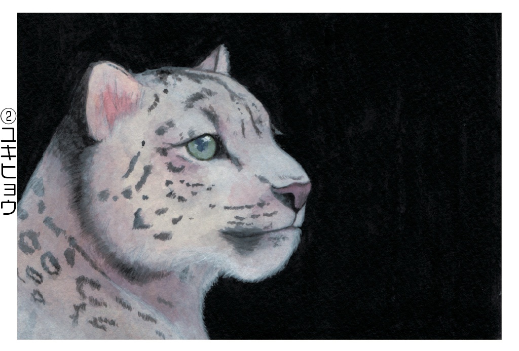 ポストカード006