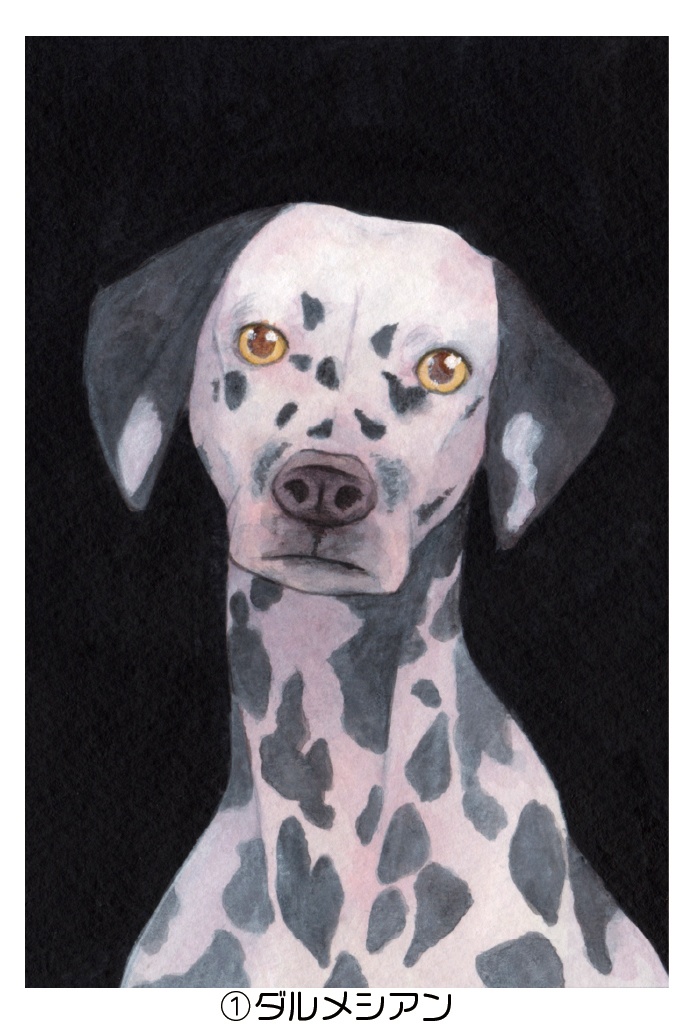 ポストカード006