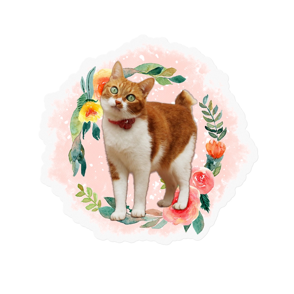 こにゃんちゃんステッカー