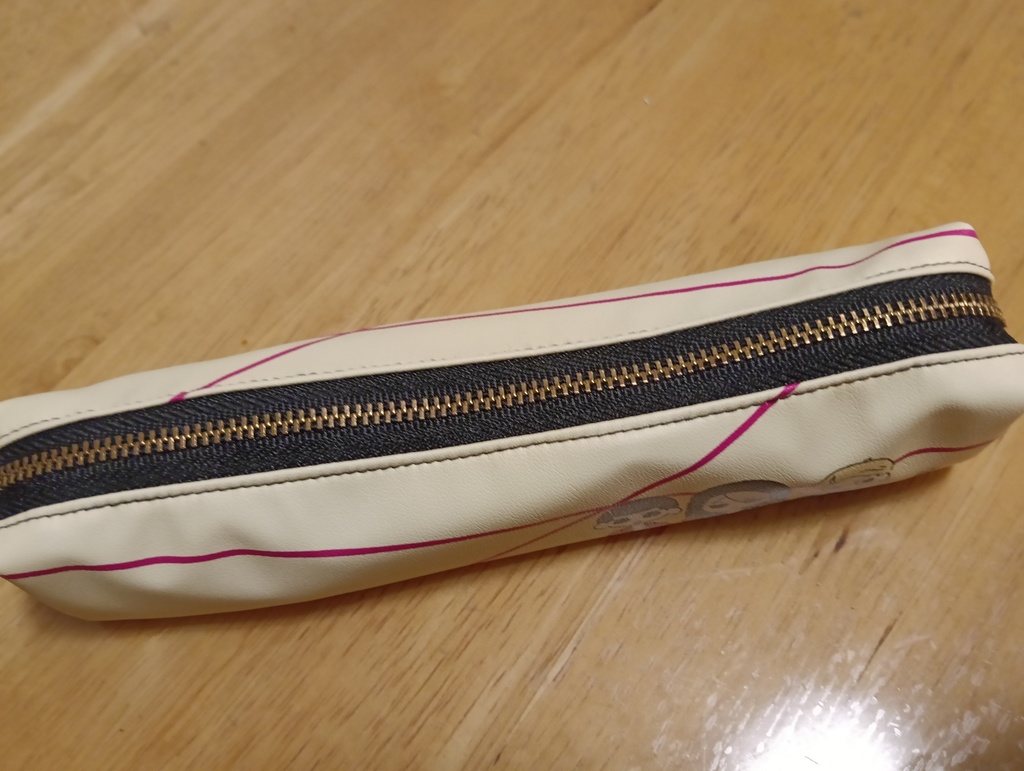 暗チペンケース