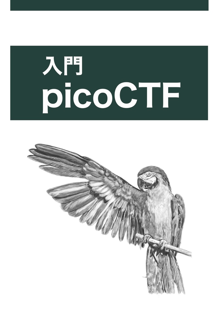 入門picoCTF