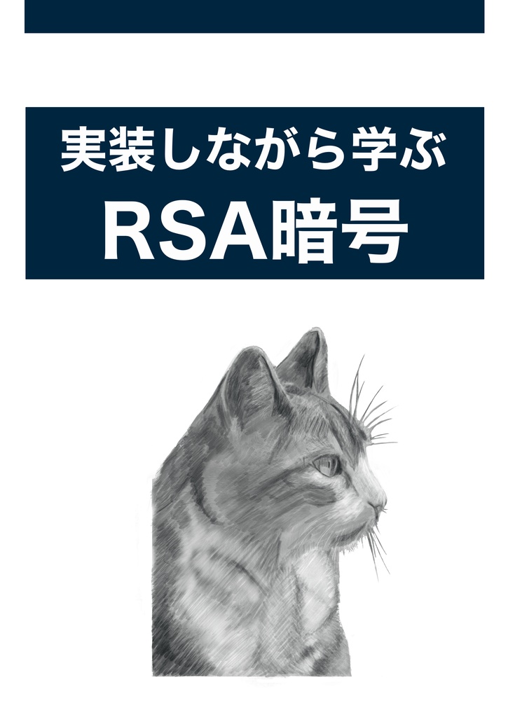 実装しながら学ぶRSA暗号
