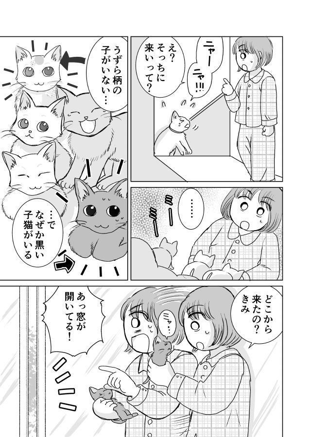 ハロウィンの黒猫