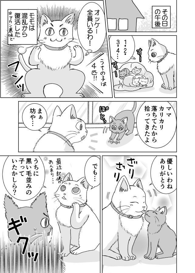 ハロウィンの黒猫