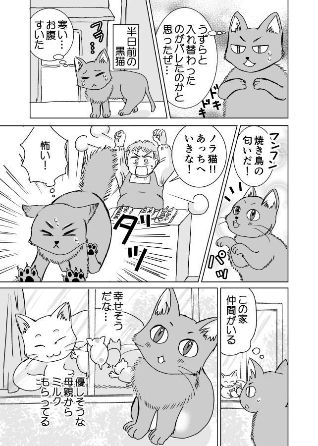 ハロウィンの黒猫