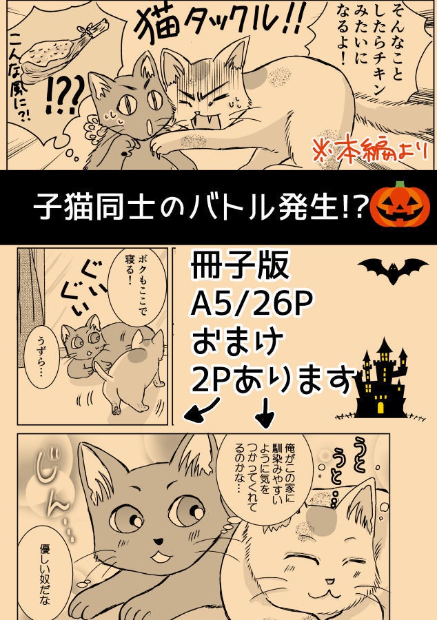 ハロウィンの黒猫