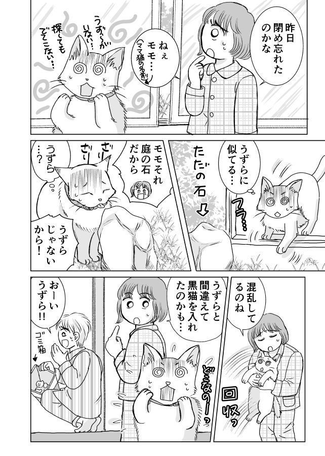 ハロウィンの黒猫