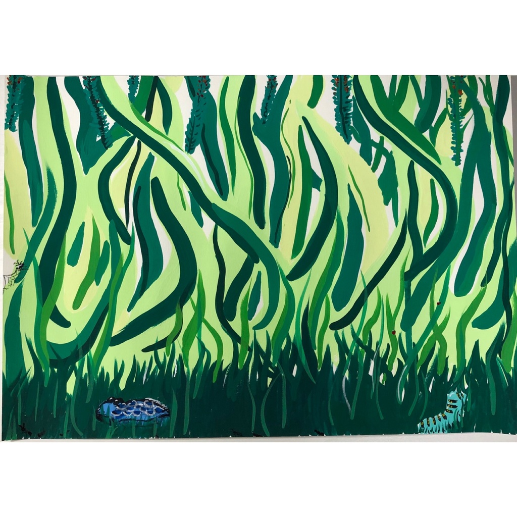 【原画】植物たちの生き様