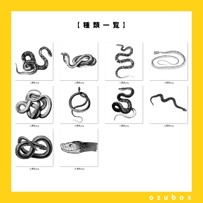 【PDM素材集】蛇編【無料版あり】