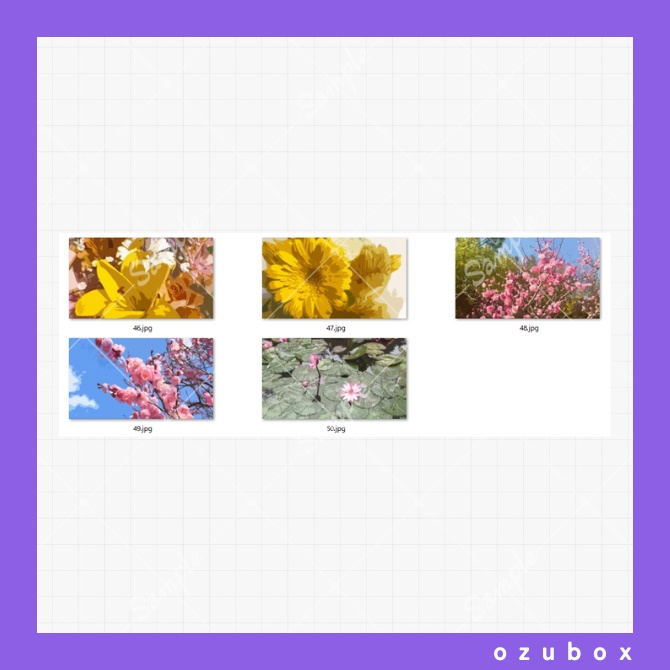 【無料/有料】ごちゃまぜ写真素材集【背景素材】