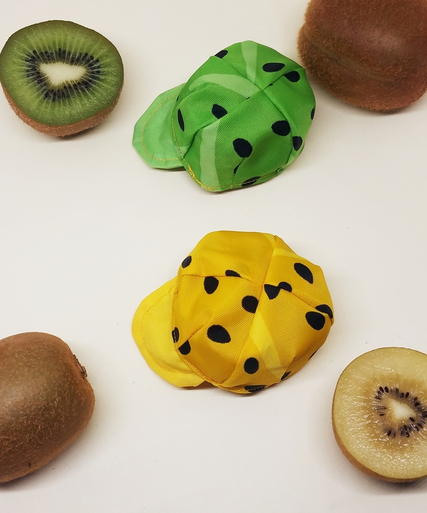 キウイフルーツセット 10cmサイズ 12cmサイズ ぬい服