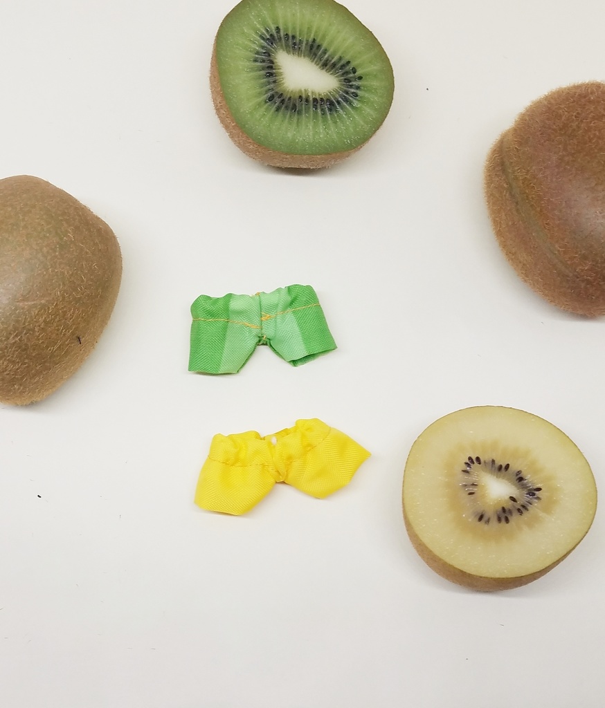 キウイフルーツセット 10cmサイズ 12cmサイズ ぬい服