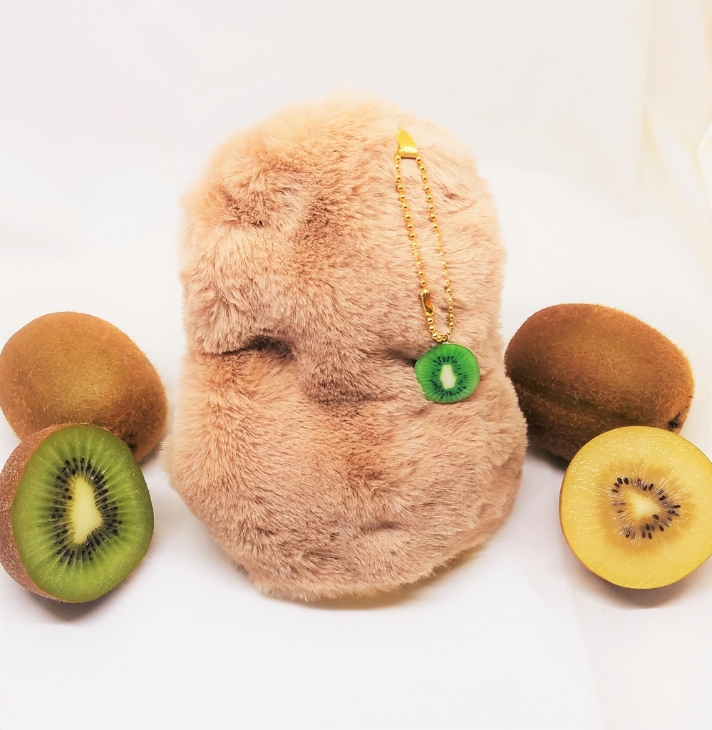 ぬい服 おすわりキーウィ 着ぐるみ 10cm~12cmサイズ