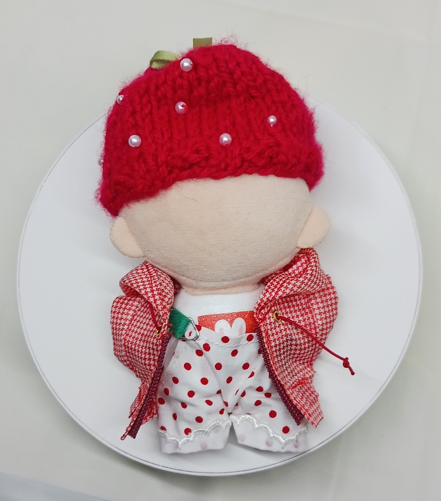 ぬい服 苺コーデセット 苺ニット帽子 マウンテンパーカー 10cm 12cmサイズ