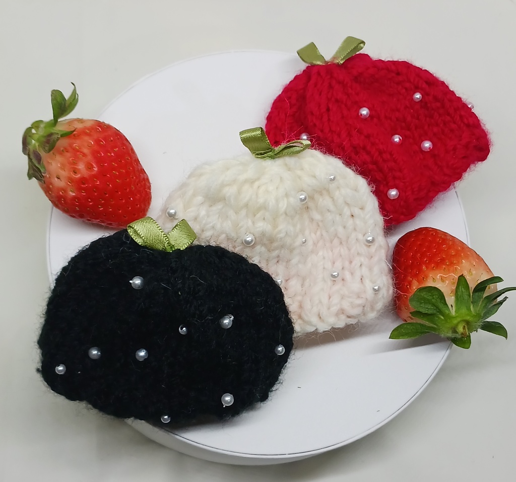 ぬい服 苺コーデセット 苺ニット帽子 マウンテンパーカー 10cm 12cmサイズ