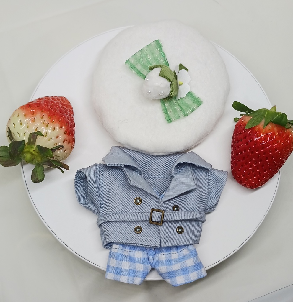 ぬい服 苺コーデセット 苺ベレー帽子 トレンチコート チェックパンツ 10cm 12cmサイズ