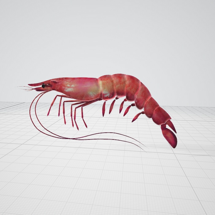 3d エビ 海鮮 海の生き物 動物blender Booth
