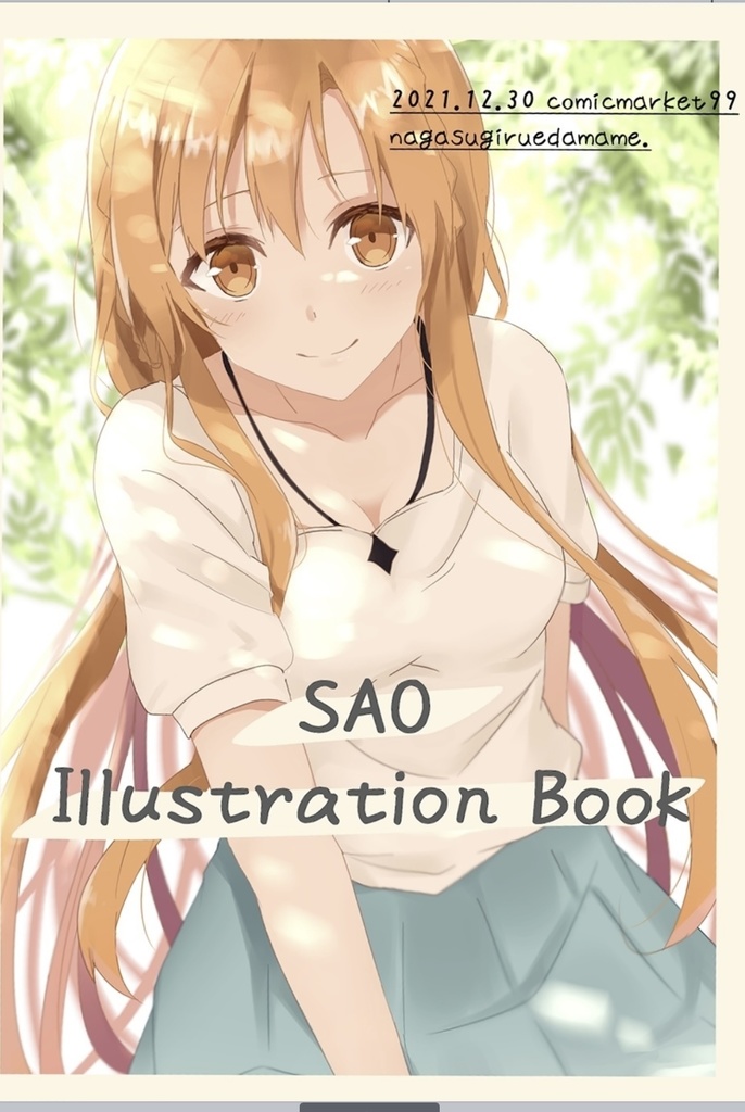 SAO illustration book