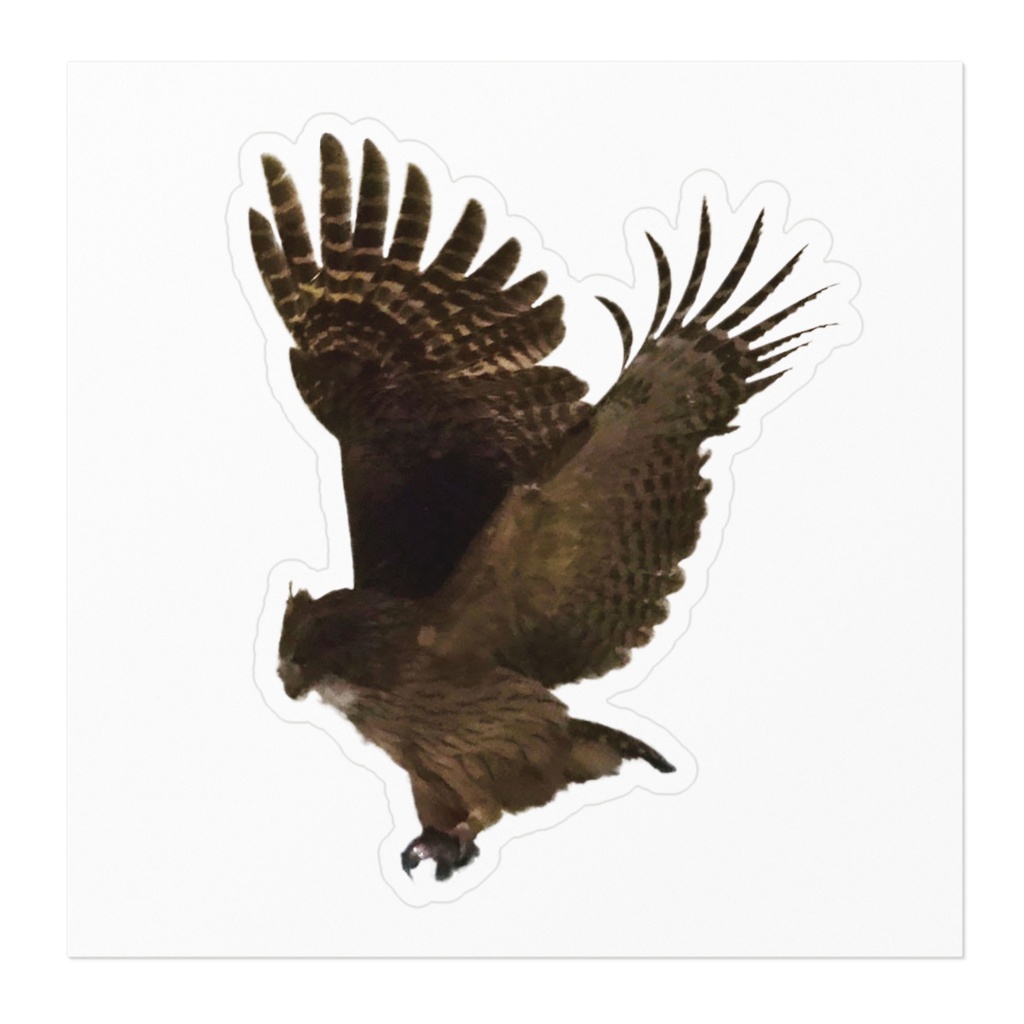 シマフクロウ‐ステッカー