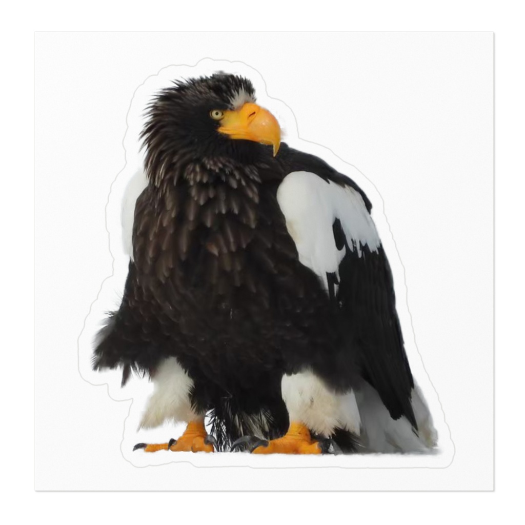 オオワシ‐ステッカー