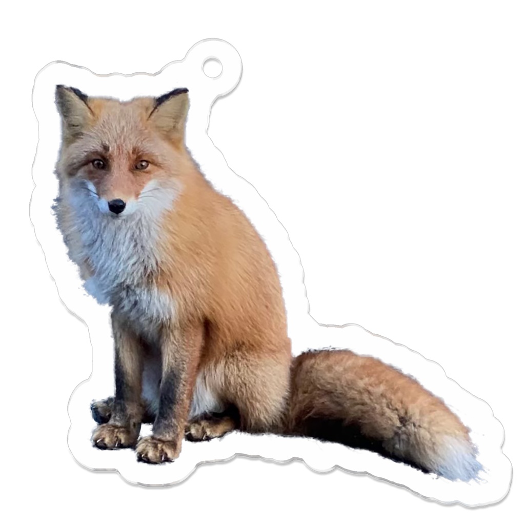 キタキツネ‐アクリルキーホルダー