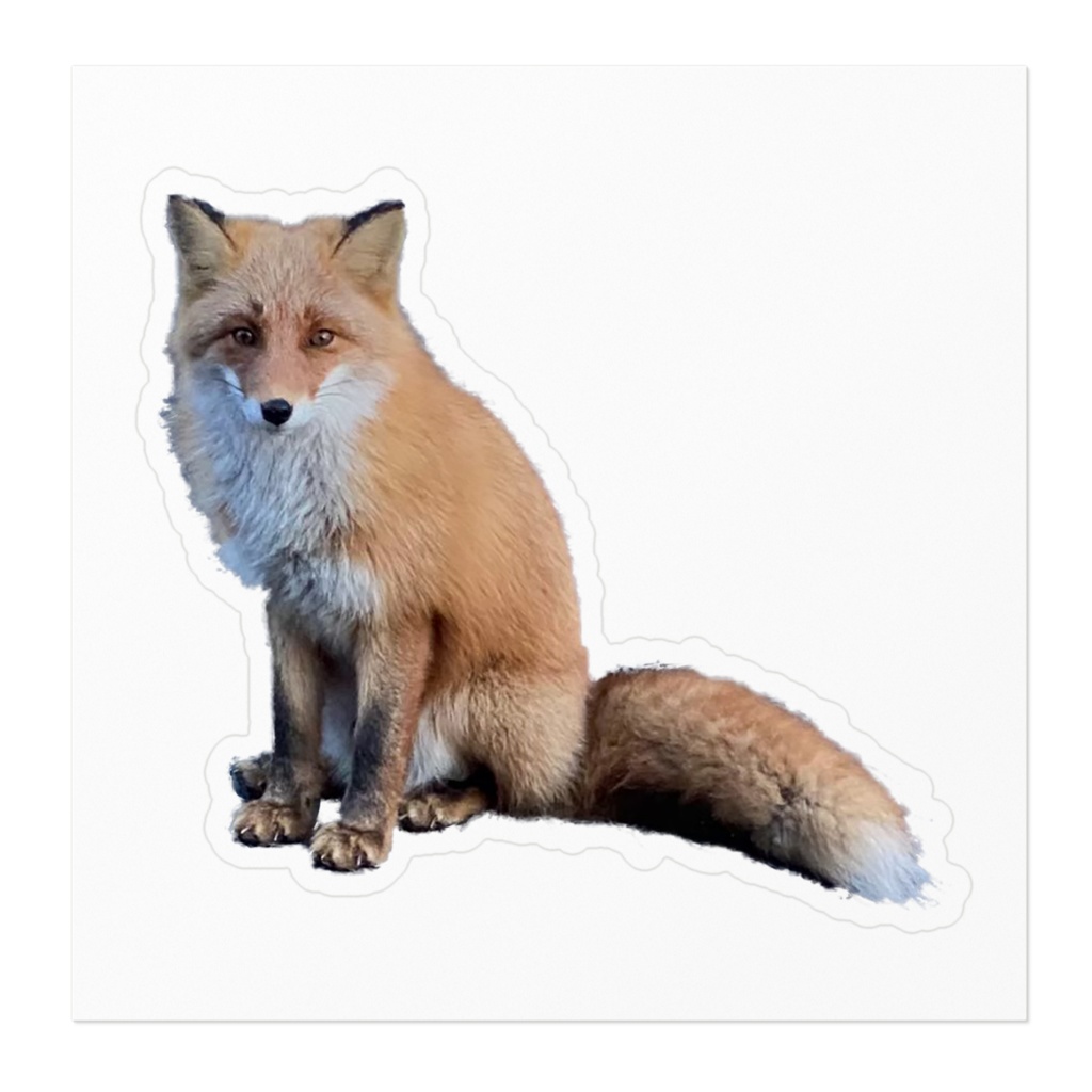 キタキツネ‐ステッカー