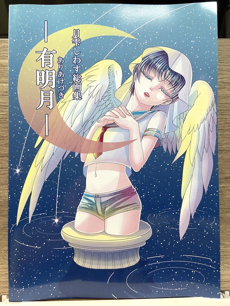 月雫しわす総画集ー有明月ー