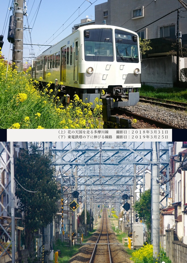 月見草を探しに ~花の精と西武多摩川線~