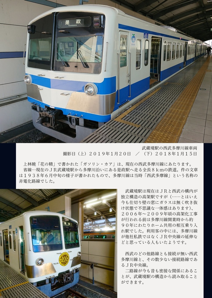 月見草を探しに ~花の精と西武多摩川線~