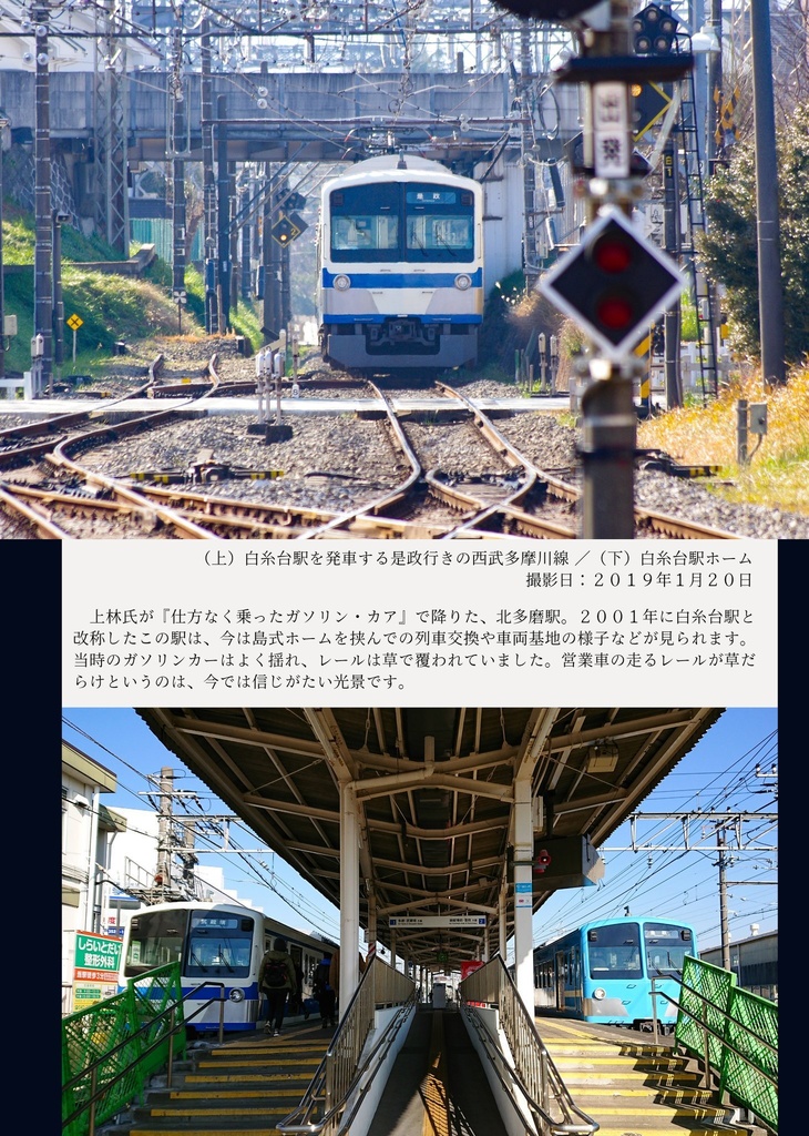 月見草を探しに ~花の精と西武多摩川線~