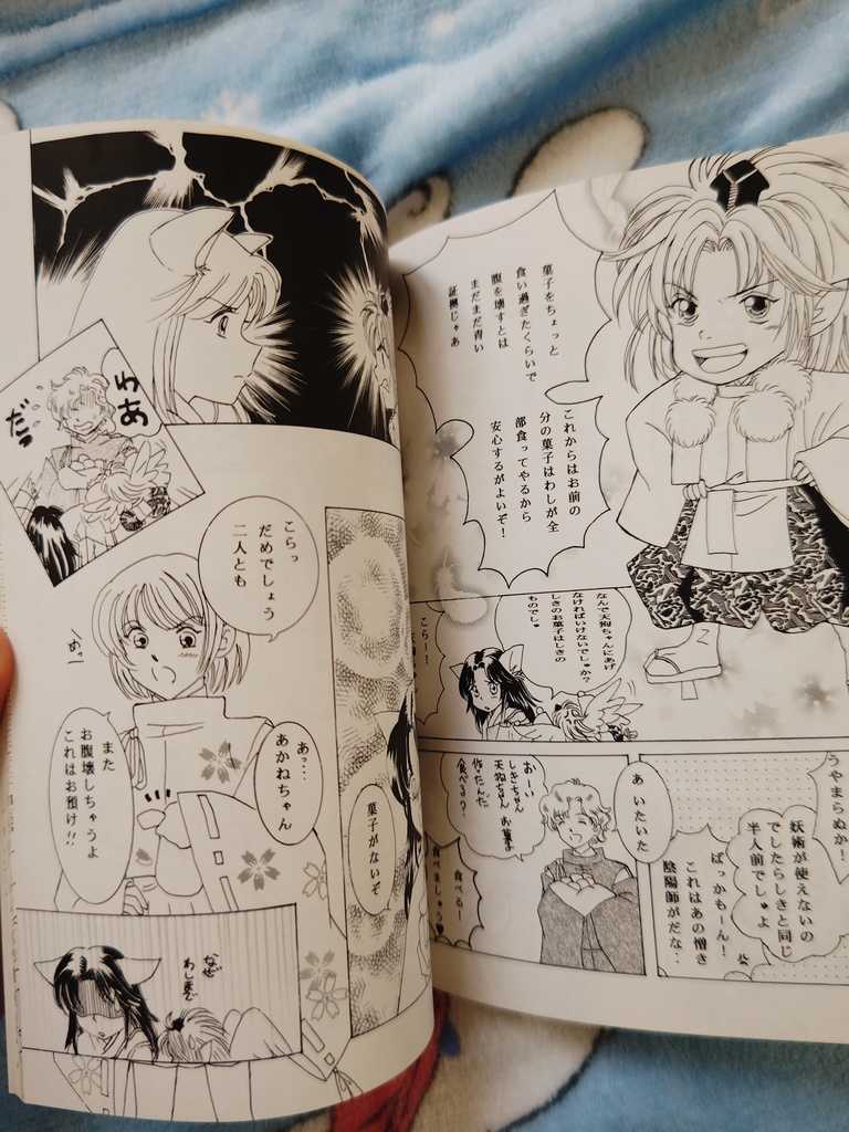 遥かなる時空の中で しきちゃんふぁんぶっく 華水樹